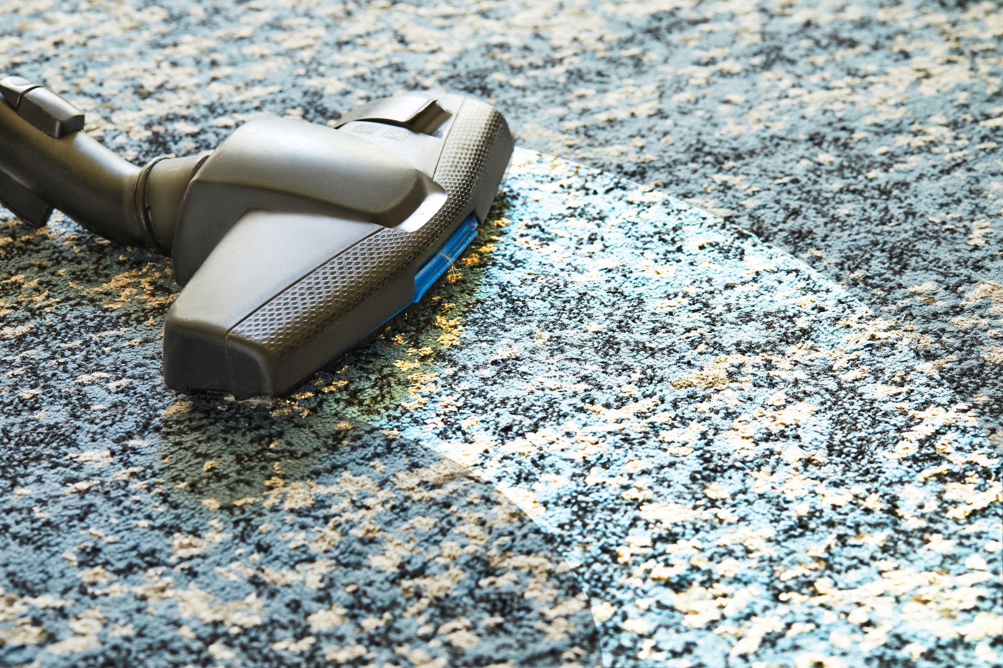 House cleaning. Vacuuming carpet dust. Concept of cleanliness and health.